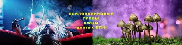 тгк Пестово