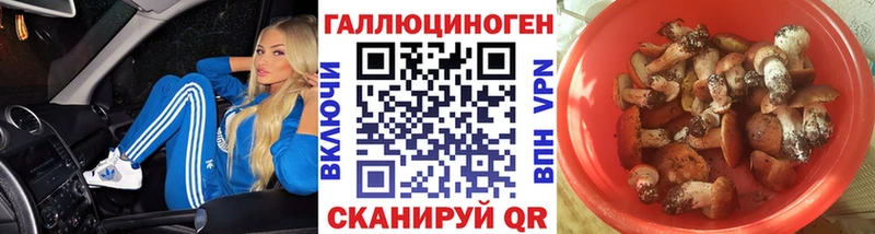 гидра   Голицыно  Псилоцибиновые грибы мицелий 